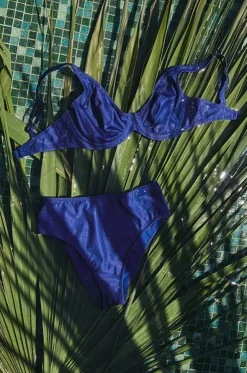 Arizona Wave E Cup Plunge Bra