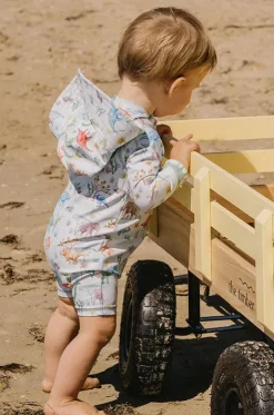 Boys Denver Sunsuit