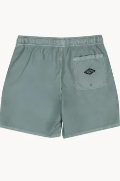Mens All Day Overdye Layback Boardshort