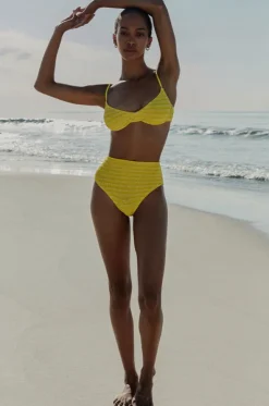 Stripe Palmer Brief
